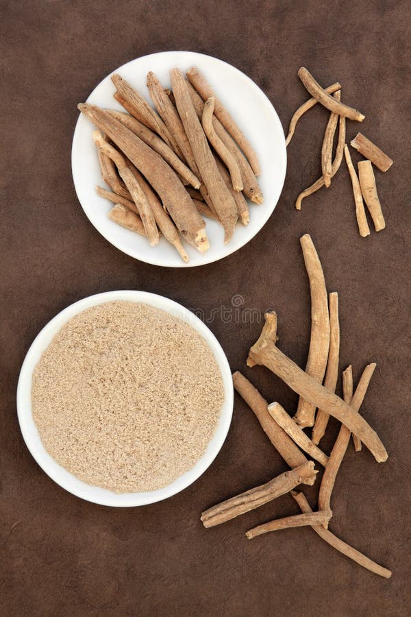 ginseng immagine stock ginseng immagine stock
