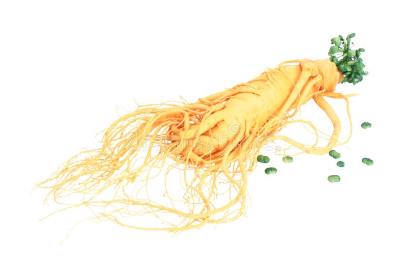 ginseng image stock ginseng image stock