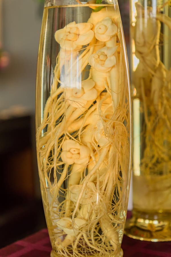 Ginseng no frasco de vidro feche imagem de stock royalty free