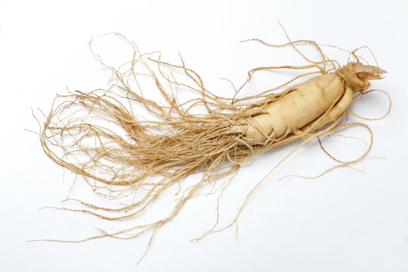 9,606 Ginseng Stock Photos - Free & Royalty-Free Stock Photos from  Dreamstime