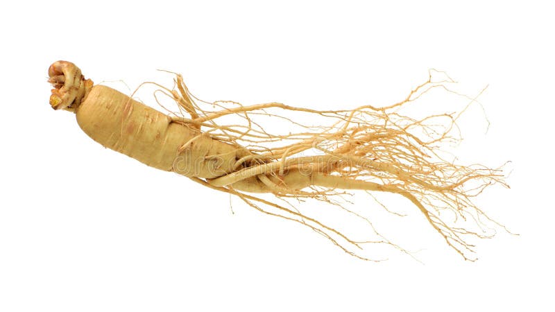 Ginseng on white background