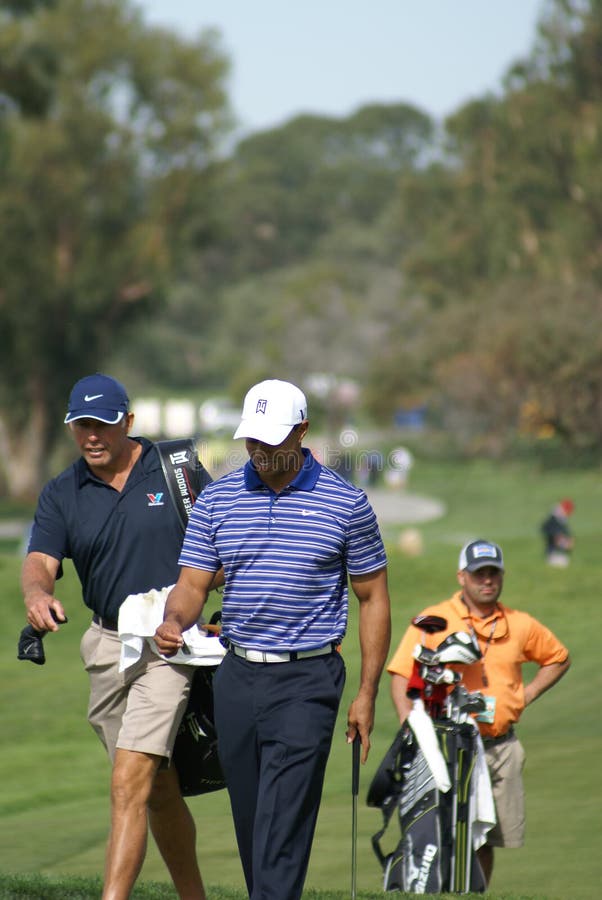 Giocatore di golf professionale del Tiger Woods fotografia stock libera da diritti Giocatore di golf professionale del Tiger Woods fotografia stock libera da diritti