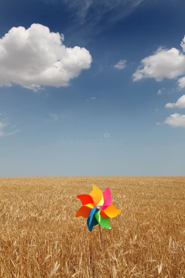 Wind toy at yellow wheat field. Photo 1. Wind toy at yellow wheat field. Photo 1