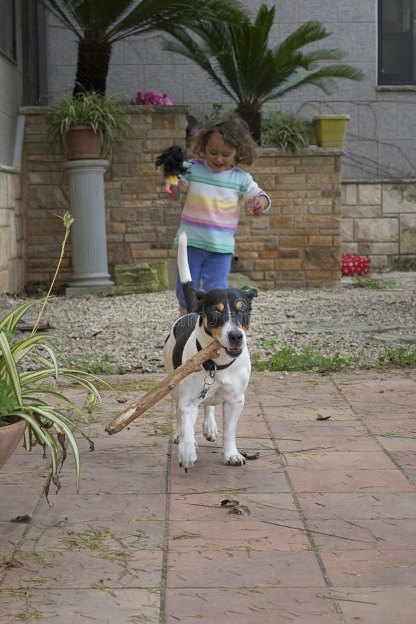 gioco cane del piccolo e della bambina fotografie stock gioco cane del piccolo e della bambina fotografie stock