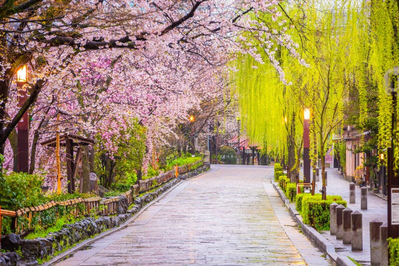 Gion shirakawa Киото В японии весной стоковое изображение