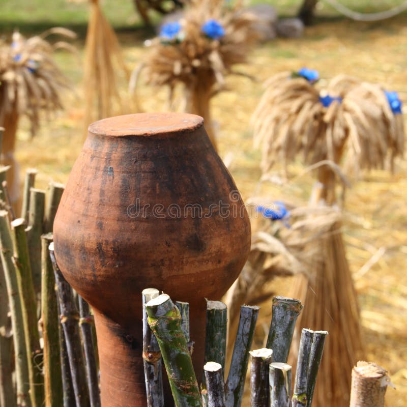 Giorno di ringraziamento: Decorazione del cereale - foto di riserva fotografia stock libera da diritti Giorno di ringraziamento: Decorazione del cereale - foto di riserva fotografia stock libera da diritti
