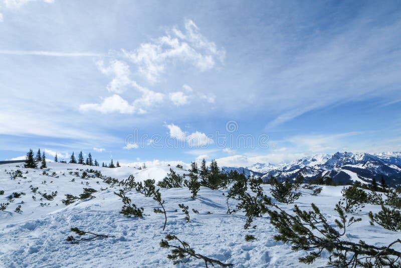 Giorno soleggiato in alpi austriache fotografia stock libera da diritti Giorno soleggiato in alpi austriache fotografia stock libera da diritti