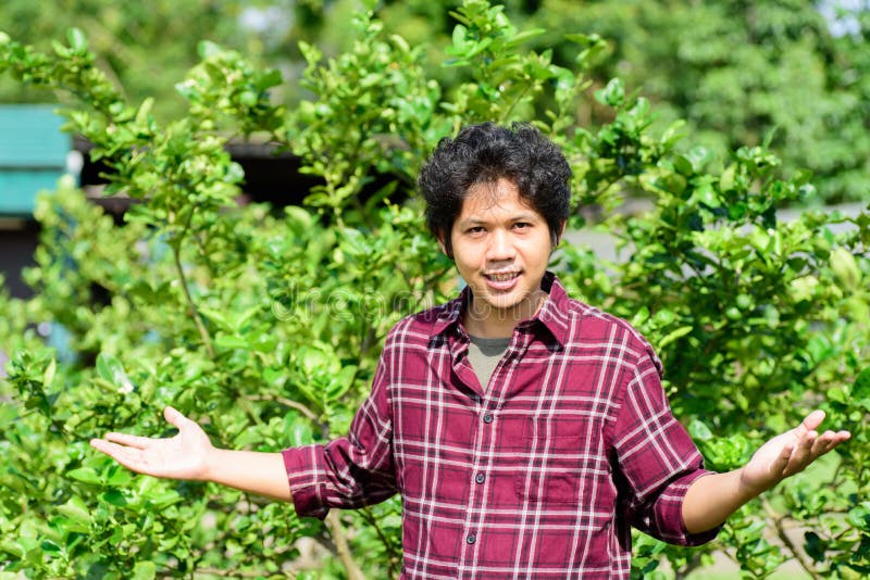 Giovane agricoltore asiatico che sta nel giardino della calce fotografia stock Giovane agricoltore asiatico che sta nel giardino della calce fotografia stock