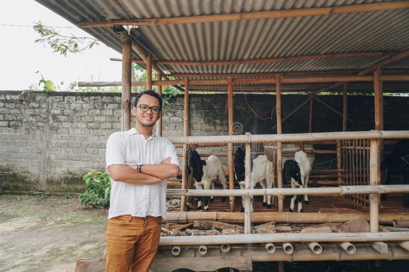 Giovane asiatico eccitato di fronte alla gabbia tradizionale fatta di legno e bambù nella zona rurale indonesiana con capra all'in immagini stock