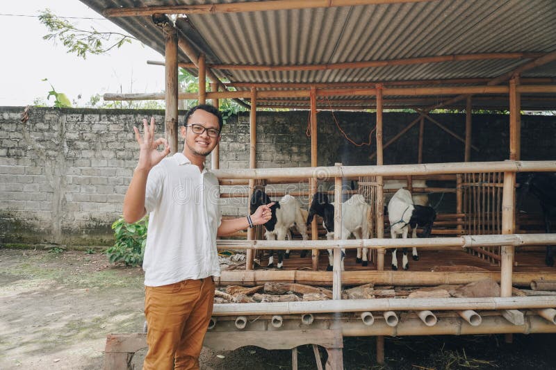 Giovane asiatico eccitato di fronte alla gabbia tradizionale fatta di legno e bambù nella zona rurale indonesiana con capra all'in fotografie stock libere da diritti
