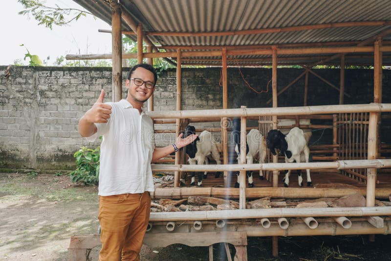 Giovane asiatico eccitato di fronte alla gabbia tradizionale fatta di legno e bambù nella zona rurale indonesiana con capra all'in fotografie stock libere da diritti