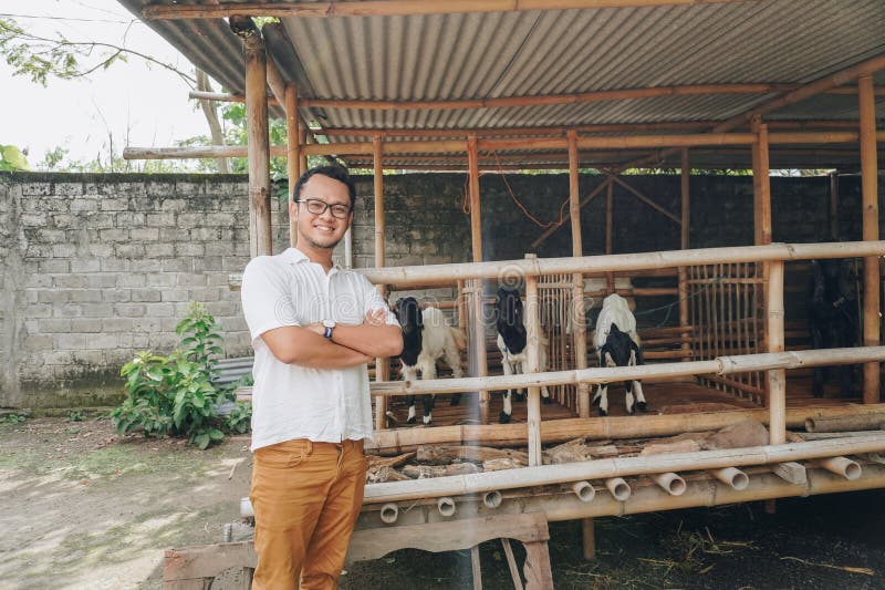 Giovane asiatico eccitato di fronte alla gabbia tradizionale fatta di legno e bambù nella zona rurale indonesiana con capra all'in immagini stock