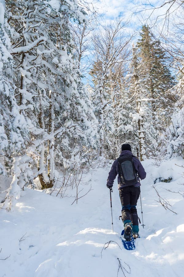 Giovane che snowshoeing nell'inverno, nel distretto orientale della Quebec immagine stock Giovane che snowshoeing nell'inverno, nel distretto orientale della Quebec immagine stock