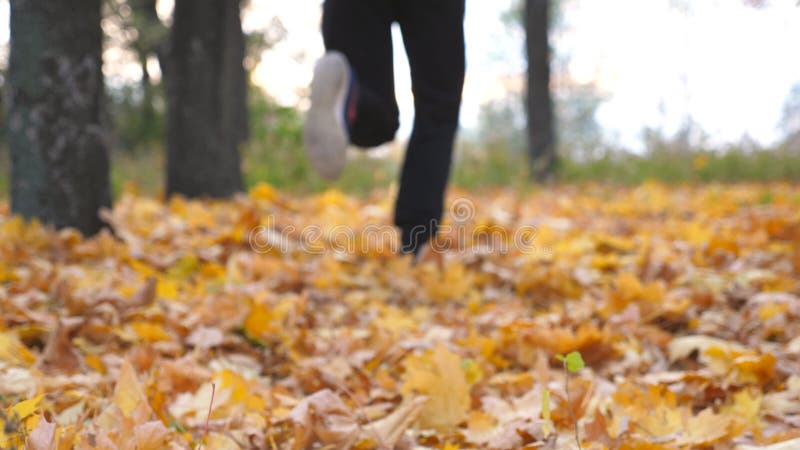 Giovane corridore che fa jogging su fogliame colorato caduto. atleta maschio che corre nel parco autunnale frantumando le foglie d