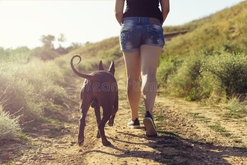 Giovane donna caucasica che corre lungo una strada non asfaltata in salita accanto al suo cane al tramonto di estate Di nuovo all fotografia stock Giovane donna caucasica che corre lungo una strada non asfaltata in salita accanto al suo cane al tramonto di estate Di nuovo all fotografia stock