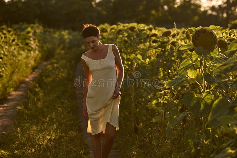 Giovane donna in un campo dei girasoli al tramonto immagine stock Giovane donna in un campo dei girasoli al tramonto immagine stock