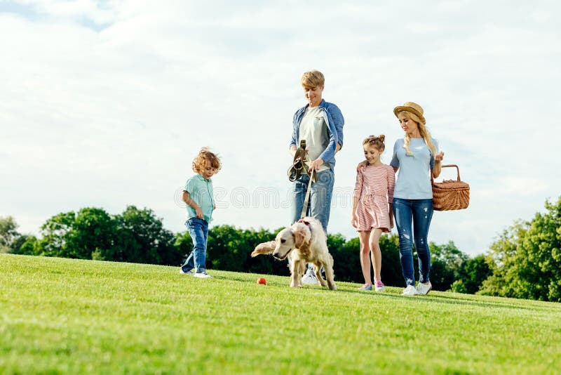 giovane famiglia felice con il canestro di picnic che cammina con il cane immagine stock libera da diritti giovane famiglia felice con il canestro di picnic che cammina con il cane immagine stock libera da diritti
