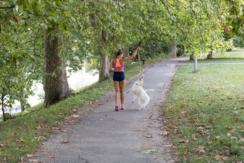Giovane funzionamento attraente della ragazza di sport con il cane in parco fotografia stock libera da diritti Giovane funzionamento attraente della ragazza di sport con il cane in parco fotografia stock libera da diritti
