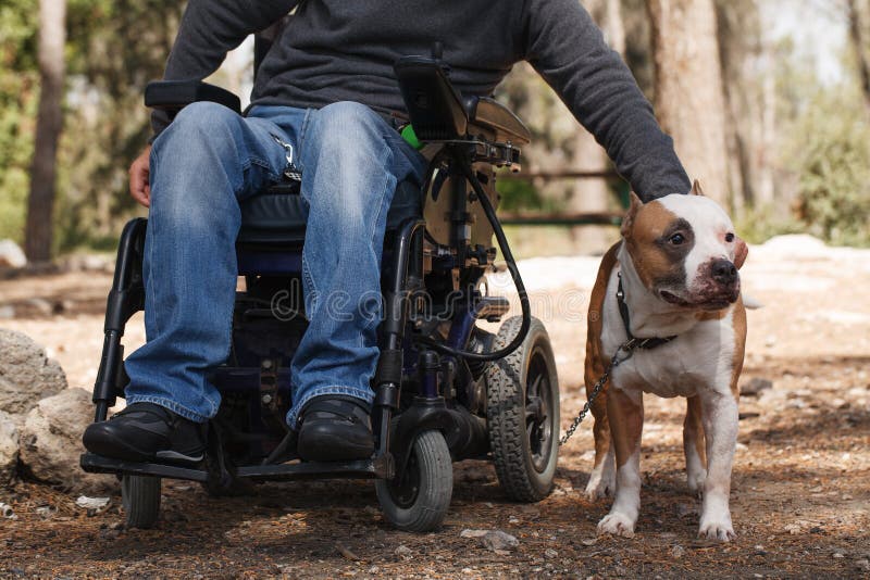 Uomo in una sedia a rotelle con il suo cane fedele.