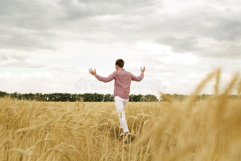 Giovane uomo felice con braccia stese in un campo di grano. concetto di libertà immagine stock