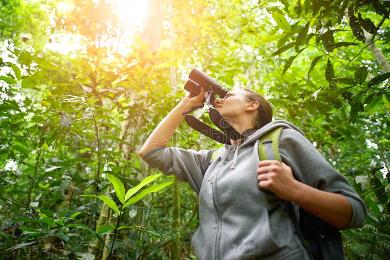 Giovane viandante femminile che guarda attraverso gli uccelli selvaggi del binocolo in immagini stock libere da diritti Giovane viandante femminile che guarda attraverso gli uccelli selvaggi del binocolo in immagini stock libere da diritti