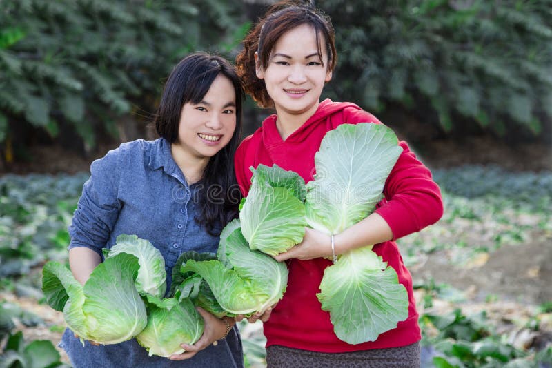Giovani donne e verdure nell'azienda agricola fotografie stock Giovani donne e verdure nell'azienda agricola fotografie stock
