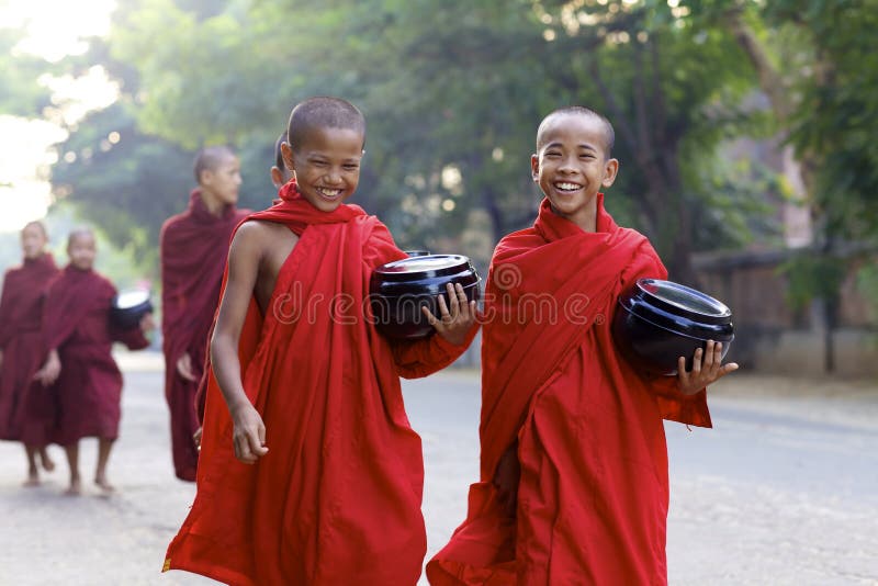 Giovani rane pescarici Myanmar Birmania fotografie stock Giovani rane pescarici Myanmar Birmania fotografie stock