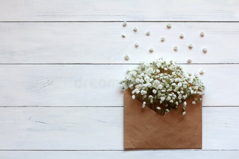 Gipsofila Flowers in a Paper Envelope on a White Wooden Background Stock  Image - Image of bloom, natural: 110480391