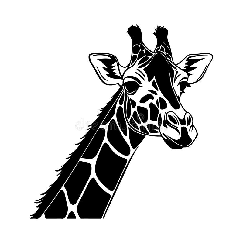 Giraffa Face con l'espressione curiosa Silhouette royalty illustrazione gratis