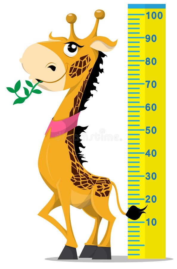 Funny giraffe with scale on white background