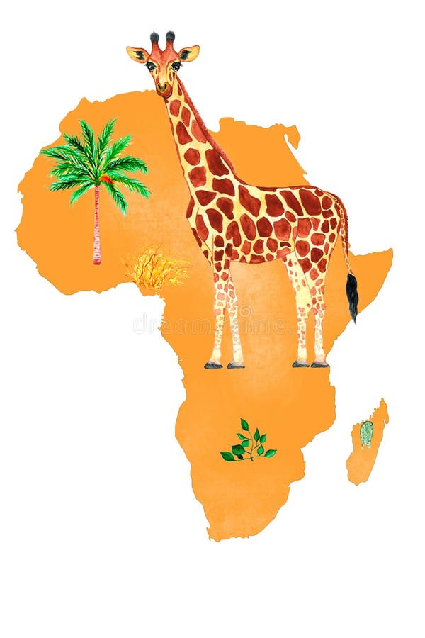 Giraffe on the background of the map of Africa and palm trees