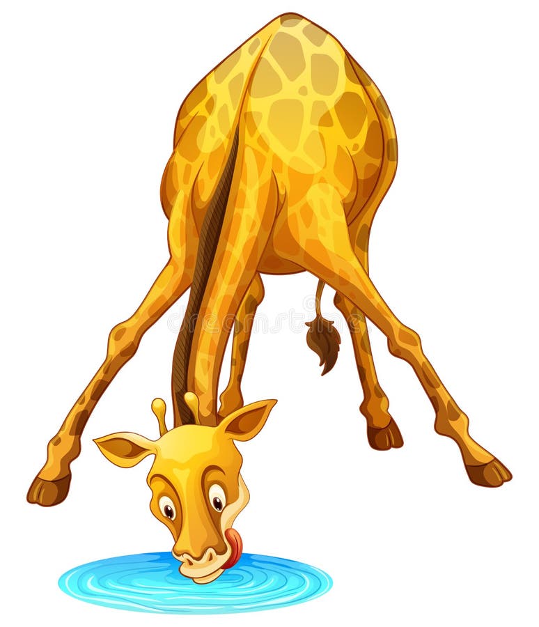 Giraffe Drinking Water from the Puddle Stock Vector - Illustration of  white, mammal: 65645313