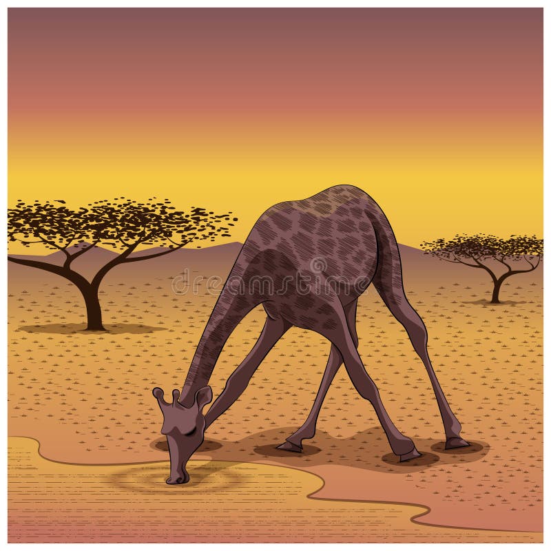 Giraffe Drink Water Stock Illustrations – 33 Giraffe Drink Water Stock Illustrations, Vectors & Clipart - Dreamstime Giraffe Drink Water Stock Illustrations – 33 Giraffe Drink Water Stock Illustrations, Vectors & Clipart - Dreamstime