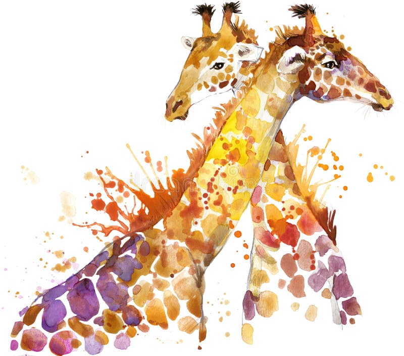 Giraffa.