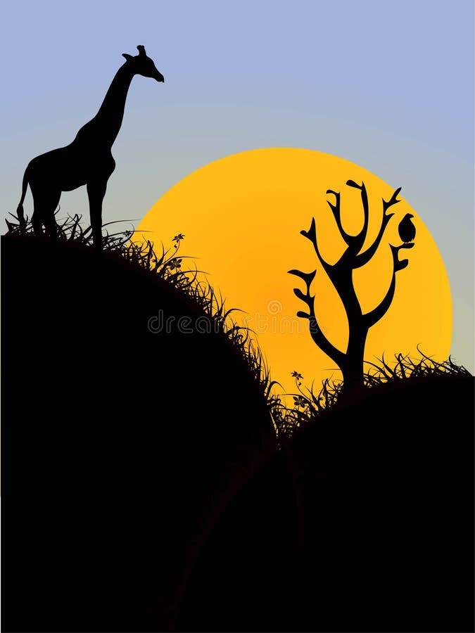 Giraffe On Height Picture. Image: 5492907