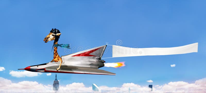 Giraffe Pilot Fly Plane With Advertising Banner Stock ...