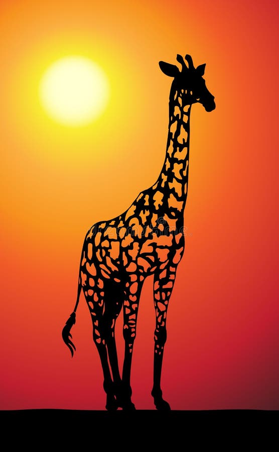 Giraffe at sunset