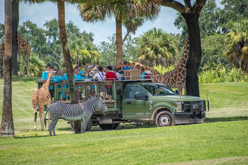 Busch Gardens Stock Photos Download 656 Royalty Free Photos