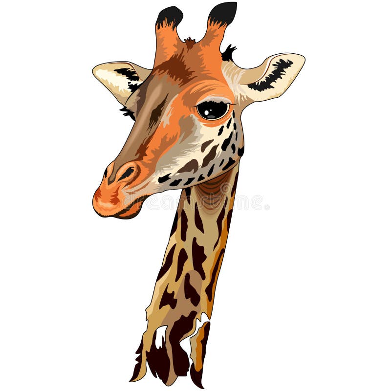 Terrestrial Animals Stock Illustrations – 422 Terrestrial Animals Stock Illustrations, Vectors & Clipart - Dreamstime Terrestrial Animals Stock Illustrations – 422 Terrestrial Animals Stock Illustrations, Vectors & Clipart - Dreamstime