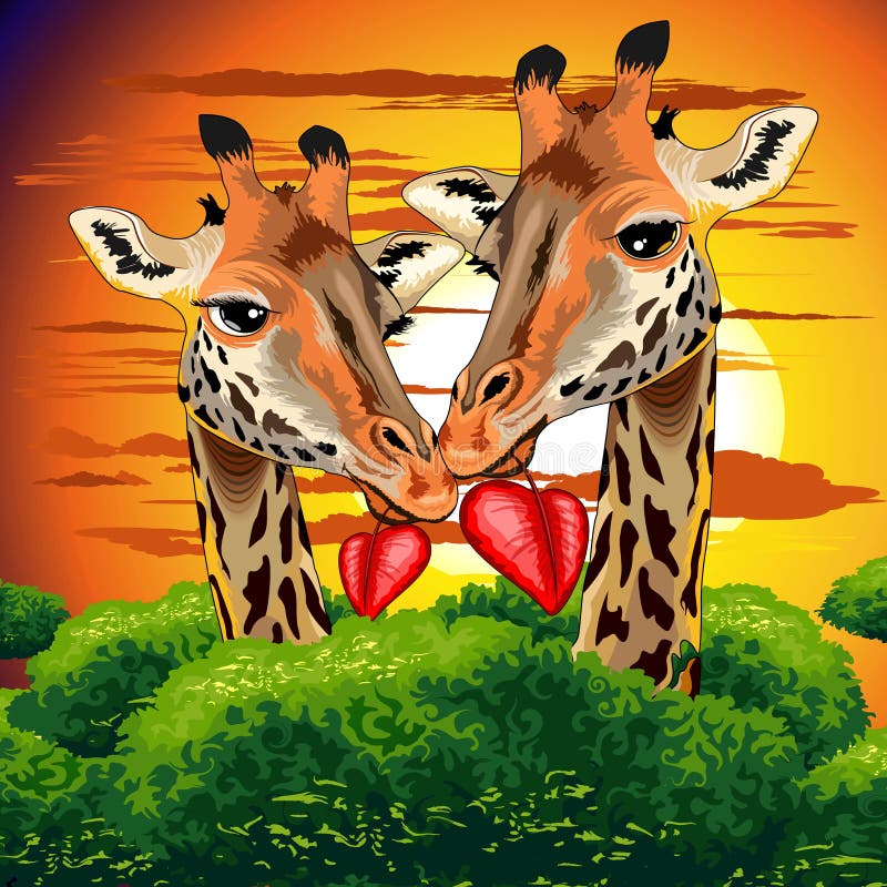 Giraffes in Love in Wild African Savanna Valentine s Day Vector Illustration