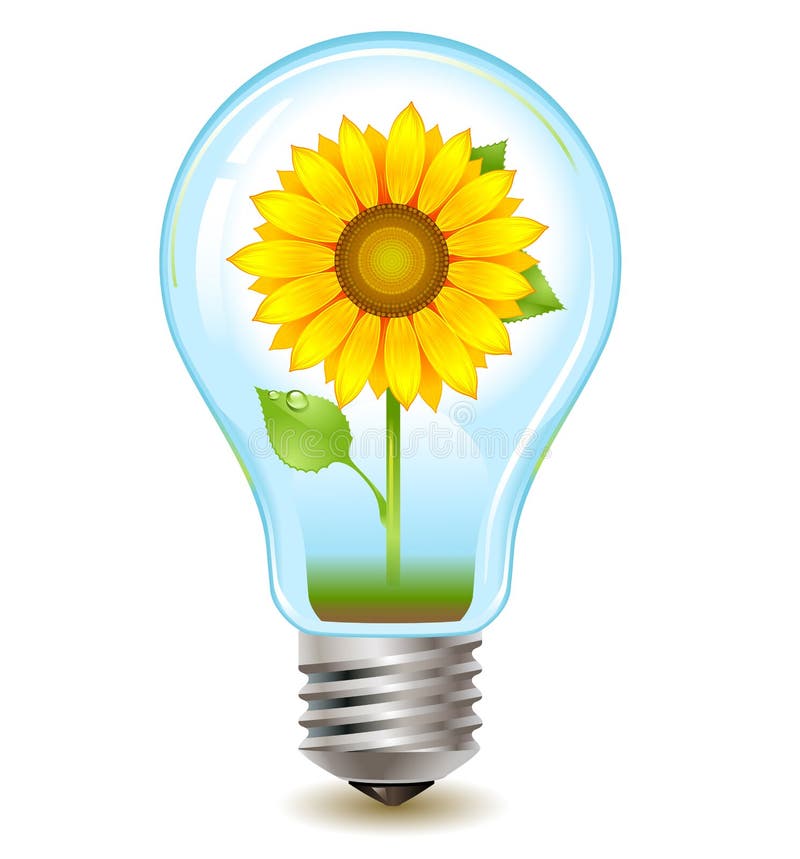 Girasol adentro libre illustration Girasol adentro libre illustration