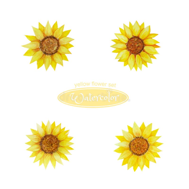 Girasole, capolini Un insieme dei fiori dell'acquerello nel giallo per progettazione, composizione, saluti illustrazione vettoriale Girasole, capolini Un insieme dei fiori dell'acquerello nel giallo per progettazione, composizione, saluti illustrazione vettoriale