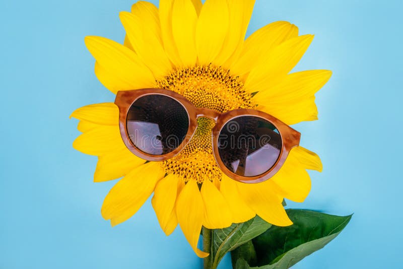 Set Accessori Girasole Per Costumi - Cerchietto, Occhiali, Bracciale E Tatuaggi Temporanei Per Feste