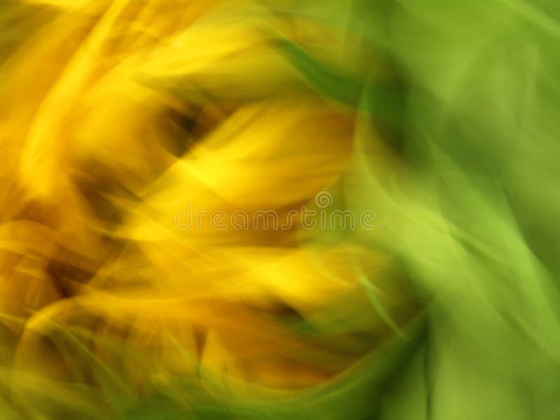 Abstract blur of a sunflower as seen on a windy day. Abstract blur of a sunflower as seen on a windy day