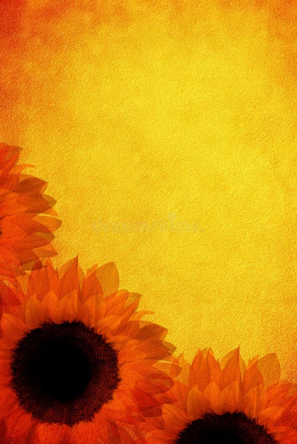 Girasoli dell'annata immagine stock libera da diritti Girasoli dell'annata immagine stock libera da diritti