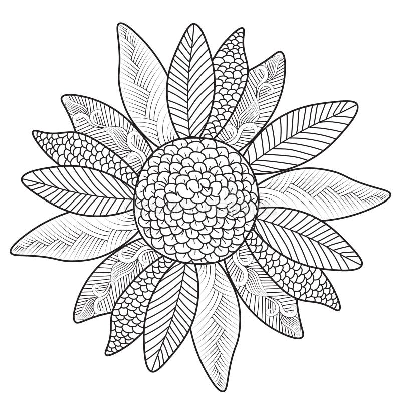 Desenhos Fáceis De Arte Em Zentângulo Floral Com Desenho Decorativo De  Contorno De Rabisco Para Páginas De Coloração Adulta Ilustração do Vetor -  Ilustração de quadrado, dezenas: 253871310