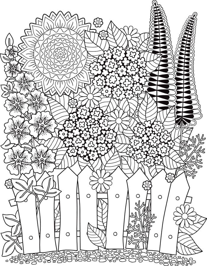 Girassóis da garatuja do vetor Livro para colorir para o adulto Flores do verão flowerbed ilustração stock Girassóis da garatuja do vetor Livro para colorir para o adulto Flores do verão flowerbed ilustração stock