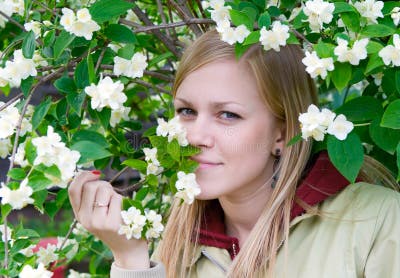 3,996 Blonde Bush Stock Photos - Free & Royalty-Free Stock Photos from