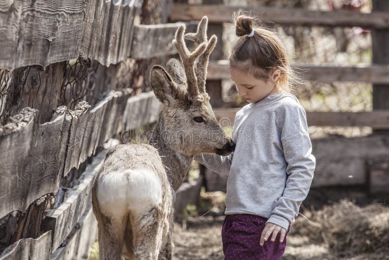 Girl with a baby deer in a pen is caring and take care