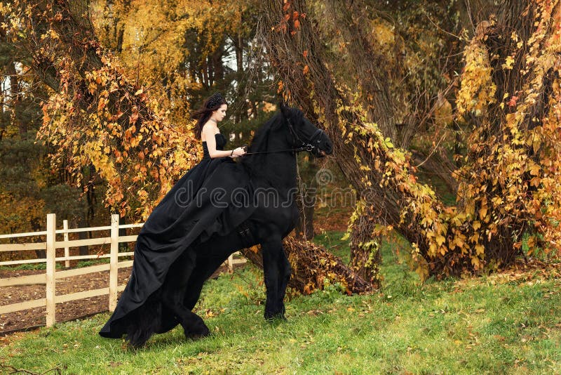 Girl in a black evening dress jumps on a Friesian horse stock images Girl in a black evening dress jumps on a Friesian horse stock images